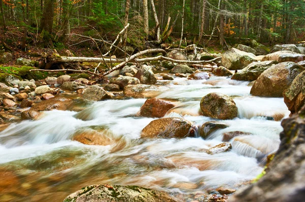 Sabbaday Falls v Bílé hoře národní les — Stock fotografie