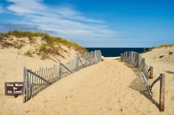 Cesta cesta na pláž v Cape Cod — Stock fotografie