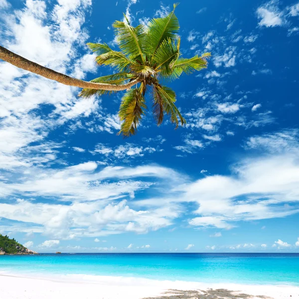 Praia bonita em Seychelles, Mahe — Fotografia de Stock