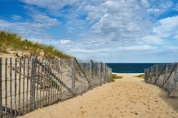 Διαδρομή δρόμο για την παραλία στο Cape Cod — Φωτογραφία Αρχείου