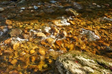 Beyaz dağ Falls'ta Sabbaday