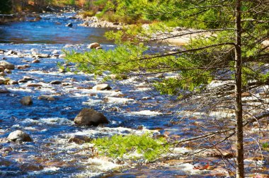 White Mountain National Forest nehirde