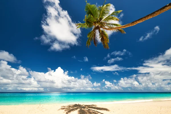 Beautiful Anse Intendance beach at Seychelles — Stock Photo, Image