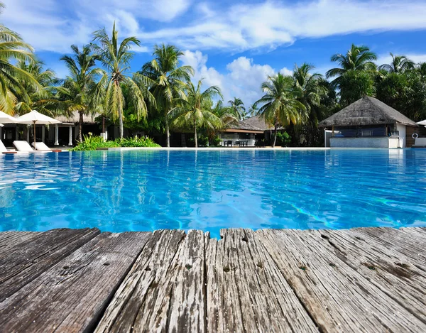 Piscina tropical — Foto de Stock