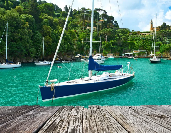 Yachts at Portofino bay — Stock Photo, Image