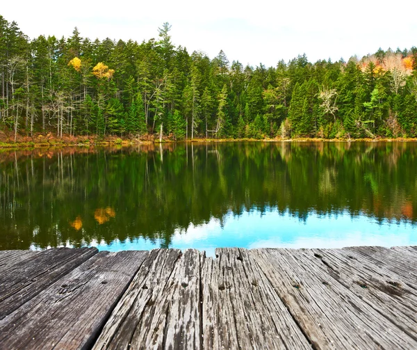 Lagoa em White Mountain National Forest — Fotografia de Stock