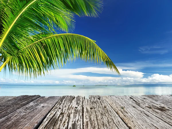 Vackra vilda stranden vid avlägsen ö — Stockfoto