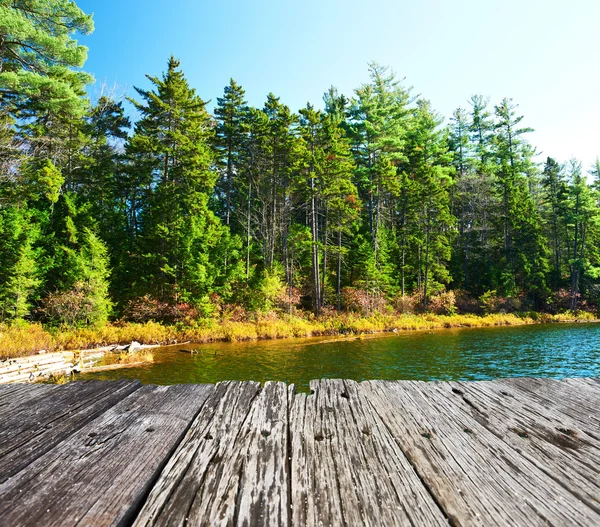 Vijver in white mountain national forest — Stockfoto