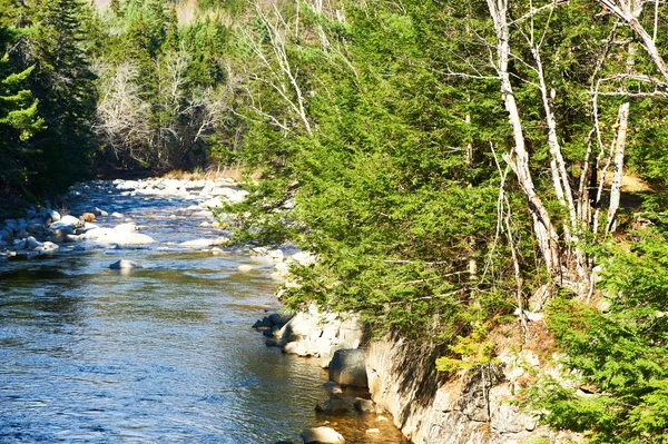 Swift River in Mountain National Forest — Stok fotoğraf