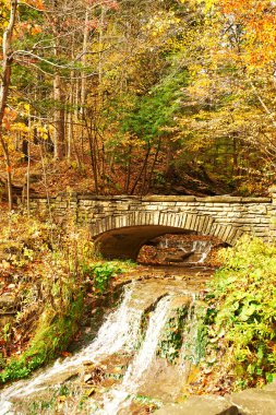 Şelale sonbahar sahne