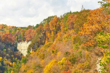 Sonbahar sahne manzara