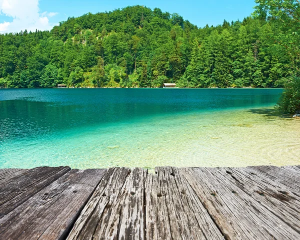 Alpsee lake på hohenschwangau — Stockfoto