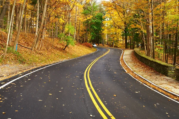 Herbstszene mit Straße — Stockfoto