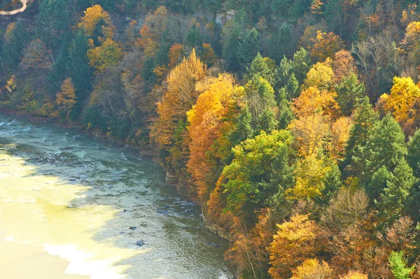 Autumn scene of river and forest — Stock Photo, Image