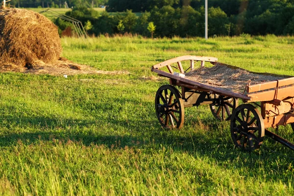 Paisaje rural con carro —  Fotos de Stock