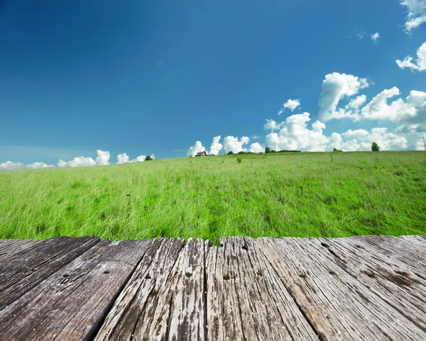 Green landscape with cloudy sky — Stock Photo, Image