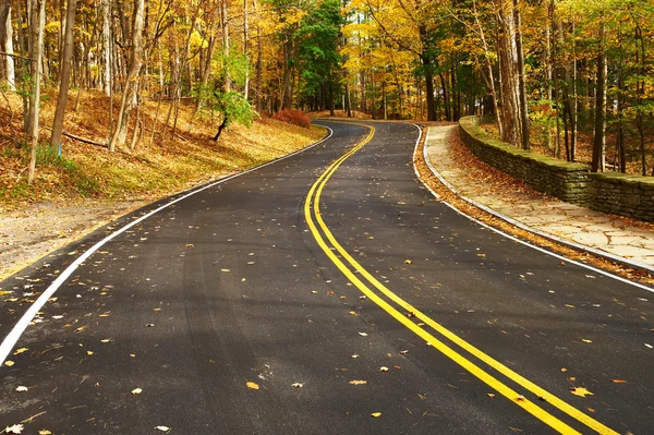 Cena de outono com estrada na floresta — Fotografia de Stock