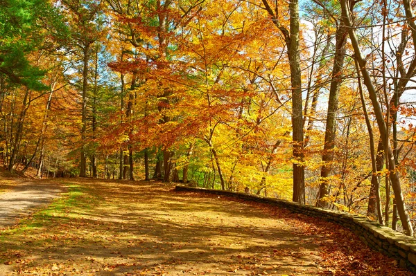 Herfst Letchworth State Park — Stockfoto