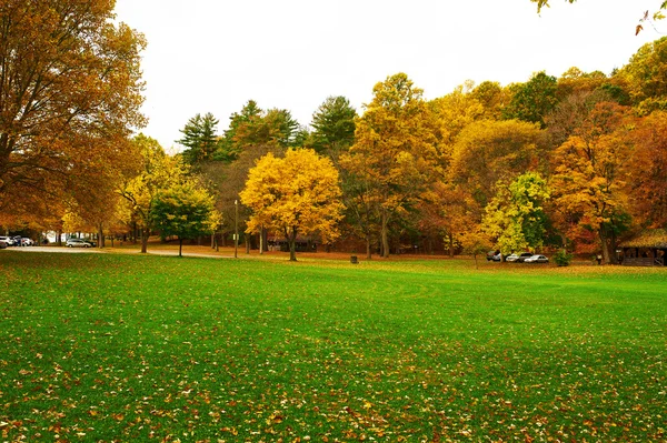 Parque Estatal Autumn Letchworth — Foto de Stock