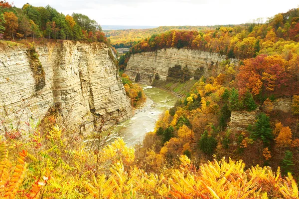 Herfst scène van watervallen en kloof — Stockfoto