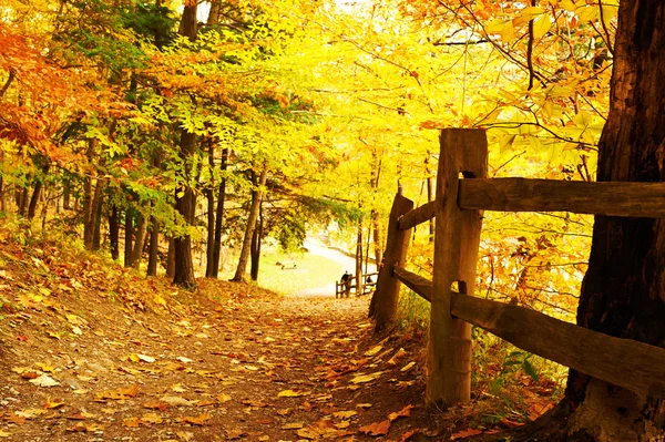 Herfst scène landschap — Stockfoto