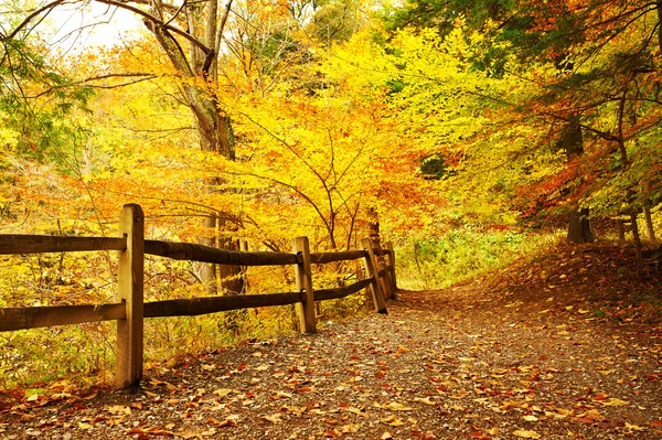 Paysage de scène d'automne — Photo