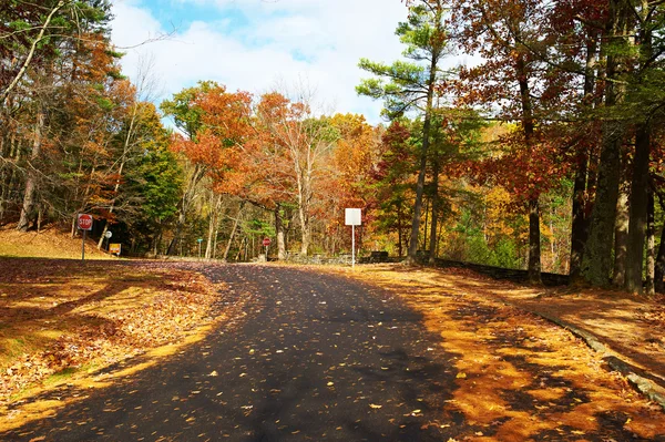 Jesienna scena z drogi w lesie — Zdjęcie stockowe