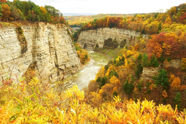 Höstens scen av vattenfall och gorge — Stockfoto
