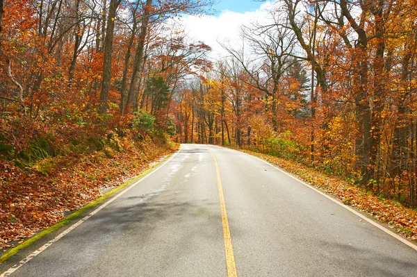 Herbstszene mit Straße — Stockfoto