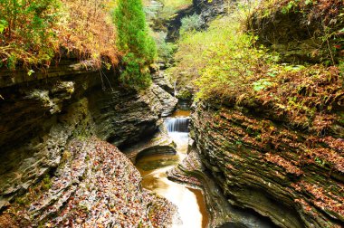 Watkins Glen Devlet Park şelale mağara