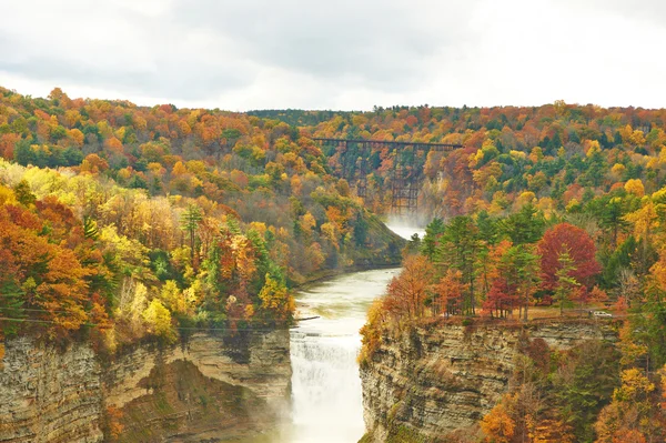 Herfst scène van rivier en bos — Stockfoto