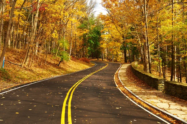 Scène d'automne avec route en forêt — Photo