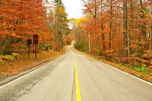 道路と秋のシーン — ストック写真