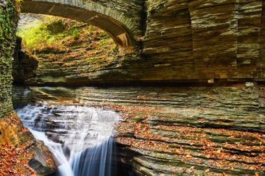 Watkins Glen Devlet Park şelale mağara