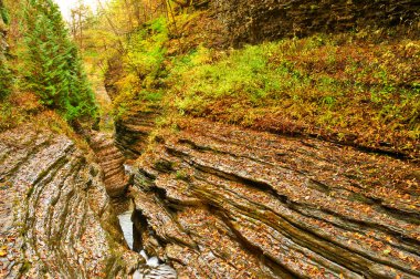 Watkins Glen Devlet Park şelale mağara