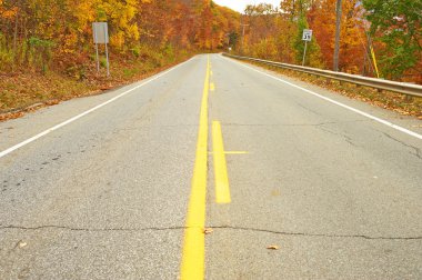 Yollu sonbahar sahnesi