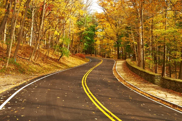 秋天的场面与林中之路 — 图库照片