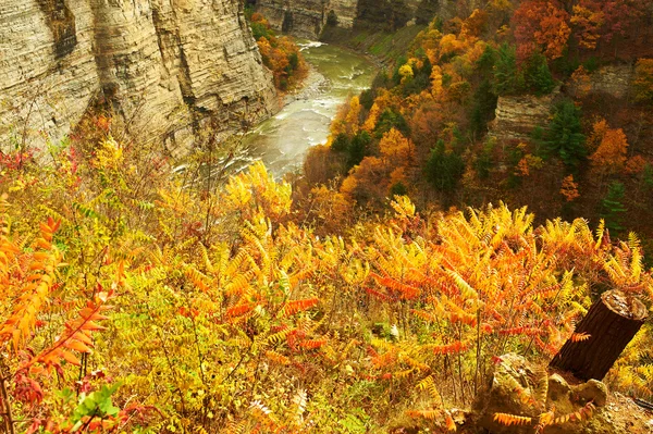 Höstens scen av vattenfall och gorge — Stockfoto