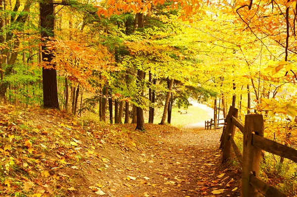 Herfst scène landschap — Stockfoto