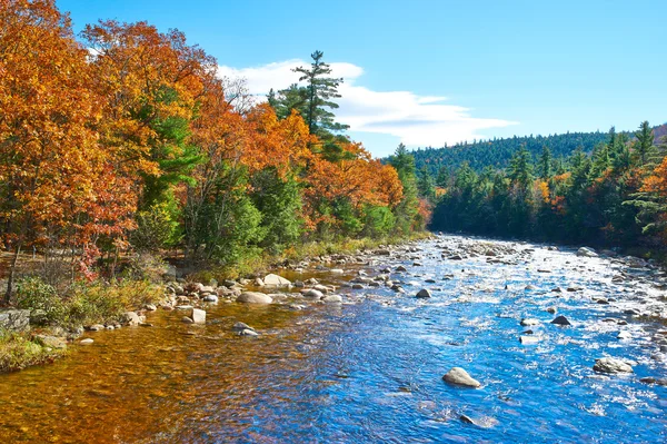 Swift River in autunno — Foto Stock