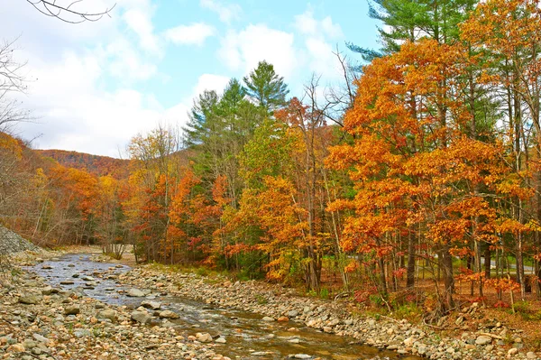 Swift řeka na podzim — Stock fotografie