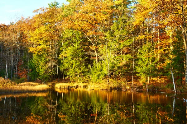 Teich im weißen Bergwald — Stockfoto