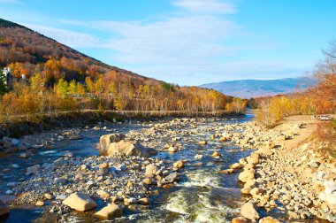 Swift nehir sonbahar