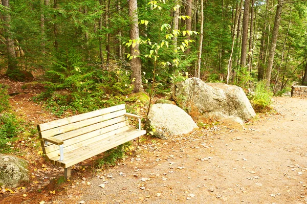 Autumn scene with wooden bench — Stock Photo, Image