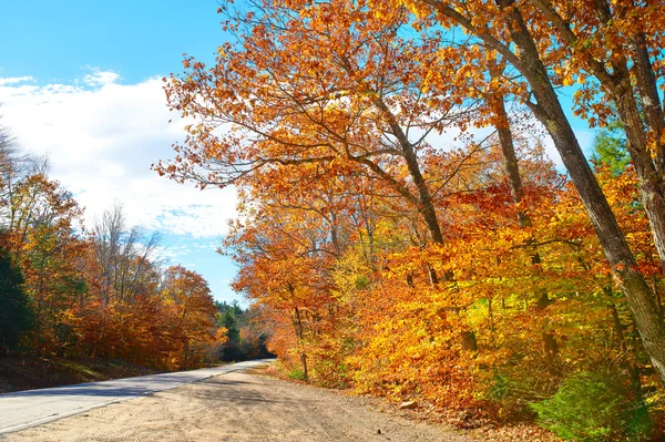 有道路的秋天场景 — 图库照片