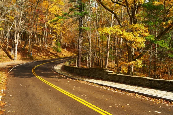 Escena de otoño con carretera en el bosque —  Fotos de Stock