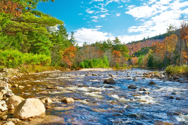 Swift River in autunno — Foto Stock