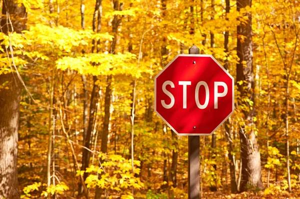 Carretera y señal de stop — Foto de Stock