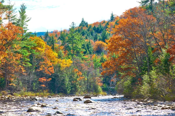 SWIFT ποταμού στο φθινόπωρο — Φωτογραφία Αρχείου