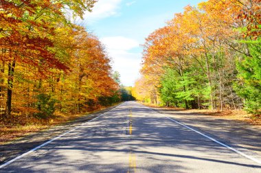 Yollu sonbahar sahnesi